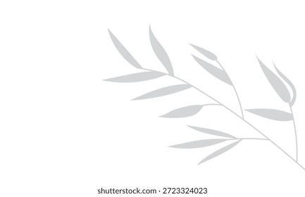 Sombra de una rama de bambú con hojas de Vector para la decoración abstracta, patrón de verano, diseño orgánico de la naturaleza . 