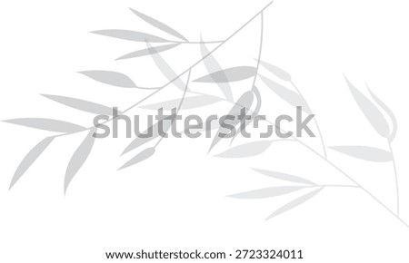 Shadow of a bamboo branch with leaves vector for abstract decoration, summer pattern, organic nature design . 