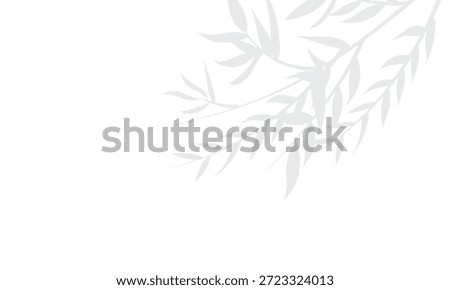 Shadow of a bamboo branch with leaves vector for abstract decoration, summer pattern, organic nature design . 