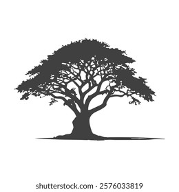 The Shadow of a Banyan Tree in Black and White Silence