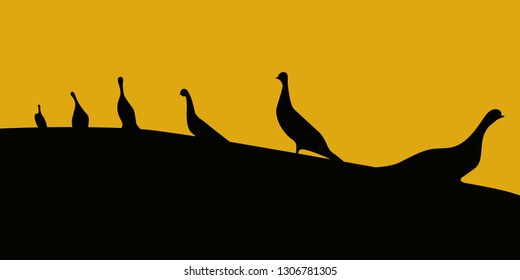 shadow of birds in orange light, Vector illustration .