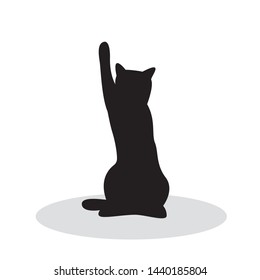 shadow of black cat isolated on white background