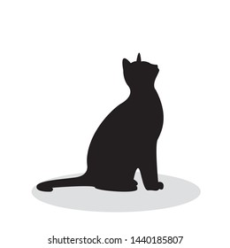 shadow of black cat isolated on white background