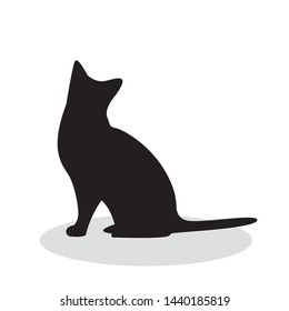 shadow of black cat isolated on white background