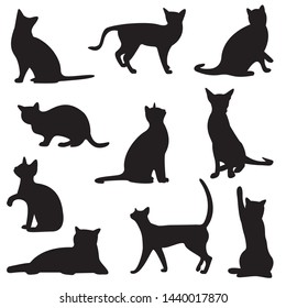 shadow of black cats isolated on white background