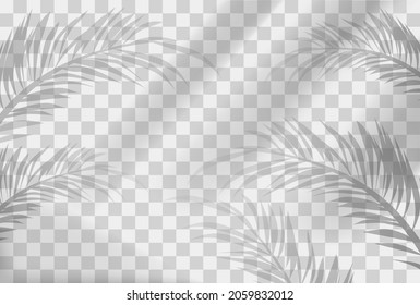 Shadow blinds and leaf. Translucent stripes, card decoration. Graphic elements for websites, unusual patterns. Overlay effects. Realistic vector illustration isolated on transparent background