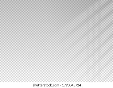Shadow blinds. Light from window. Overlay effect. Shade jalousie transparent. Isolated background. Window blinds. Reflected shadow on wall. Realistic soft shade blind. Horizontal mockup. Vector 