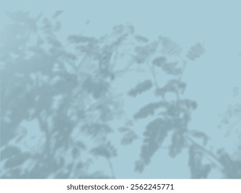 The shadow of the carved leaves on the blue wall. . Black and white image for photo overlay or mockup