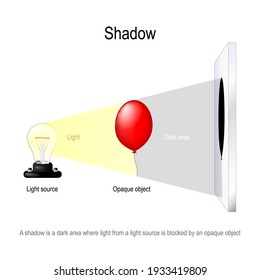 Shadow Is A Dark Area Where Light From A Light Source Is Blocked By An Opaque Object. Experiment With Light Bulb And Air Balloon. Physics Science Education. Vector Illustration