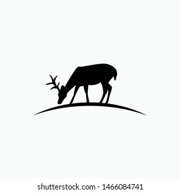 the shadow of a deer eating