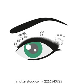 Shadow effect. Eyelash extension. Instruction. Procedure. Eyelash type and shape. Green eye.