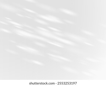 Shadow effect on grey wall. Sunbeams white reflection, sun rays shade or natural lighting foliage. Blurred soft shadow from the window and leaves from outside. Vector abstract overlay background