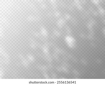 Shadow effect on transparent background vector overlay effect. Sunbeams reflection, sun rays shade, natural lighting mockup. Abstract blurred soft shadow from the window and leaves foliage