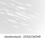 Shadow effect on white wall. Sunbeams reflection, sun rays shade of natural lighting. Vector abstract overlay background. Blurred soft shadow from the window and leaves from outside