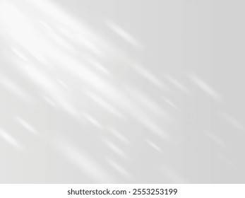 Shadow effect on white wall. Sunbeams reflection. Blurred soft shadow from the window and leaves from outside. Sun rays shade of natural lighting. Vector abstract background mock up