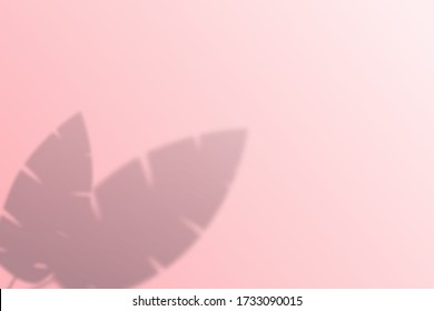 Shadow effects with banana palm leaves in the corner. Flat lay background with tropical leaf shadow. Applicable for mockup, template background. Vector illustration