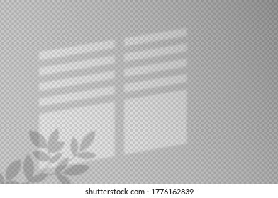 Efectos de sombra. Sombra y luz desde la ventana y la planta. Reflexión de la luz en la pared. Tonos transparentes para tu diseño. Ilustración vectorial.