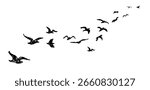 Shadow of flock of birds flying high in the sky drawn with wax pencil or pastel. Silhouette of birds flying away. Vector illustration of simple bird. Graphic element written with black charcoal pen.