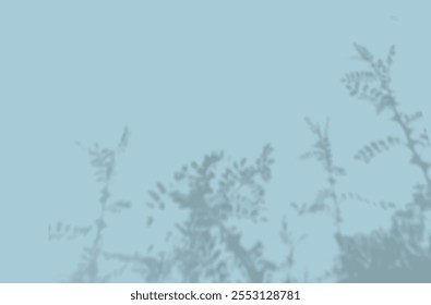 The shadow of the flower leaves on the blue wall. Black and white image for photo overlay or mockup