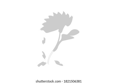 shadow of a flower.floral vector design element.