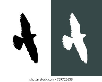 Shadow of flying bird. Vector set