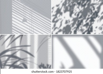 Shadow of foliage and blinds on white wall realistic set isolated vector illustration