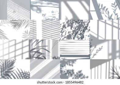 Shadow frames realistic set with gradient and tropical effects isolated vector illustration