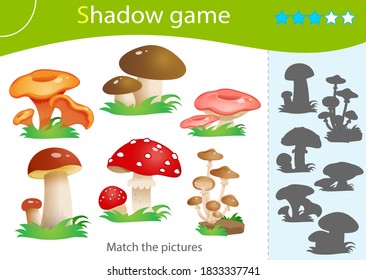 Shadow Game for kids. Match the right shadow. Color image of forest mushrooms. Fly agaric, chanterelles, honey agaric. Worksheet vector design for children and for preschoolers.