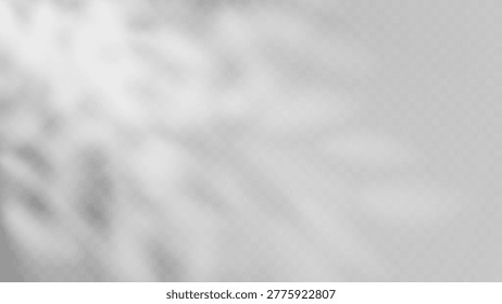 Shadow gobo overlay effect with natural tree leaves creating dappled patterns on wall background. Soft sunlight filtering through foliage produces elegant botanical silhouettes for studio scenes.