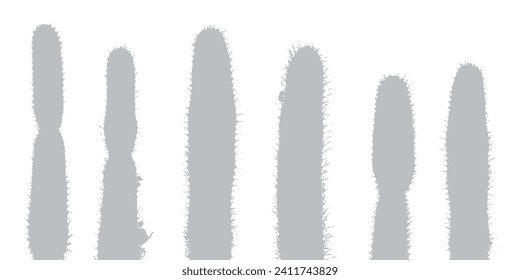Sombra de cactus grises sobre fondo blanco. Ilustración del vector