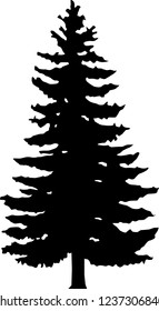 Shadow of green christmas trees on white background

