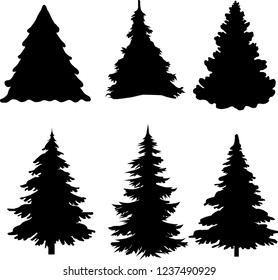 Shadow of green christmas trees on white background
