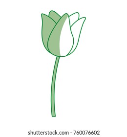 shadow green flower cartoon