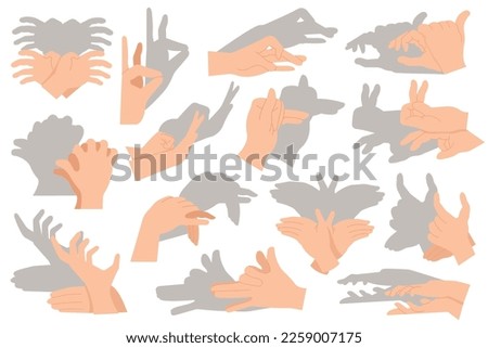 Image, Stock Photo Shadow play | palm tree and curtain on window