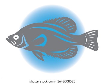 shadow image of a black crappie fish