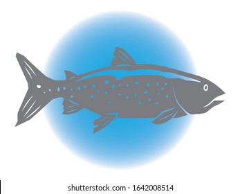 shadow image of a lake trout fish