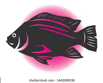 shadow image of a tilapia fish