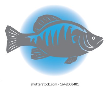shadow image of a white crappie fish