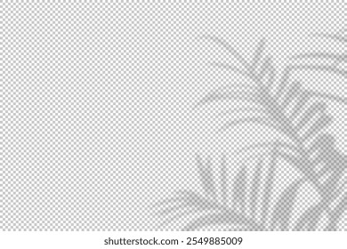 Shadow of leaf from window. Shadows palm leave isolated on transparent background. Reflected flowers for effects overlay. Plants shades. Leafes tree. Light sunshine bush for summer design. Vector