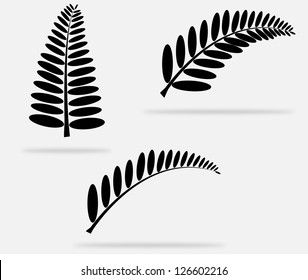 Shadow leaves.