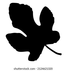 The shadow of its leaves and stems