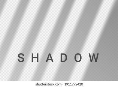 Shadow Light Overlay Window Wall Scene Mockup. Shadow Transparent Background