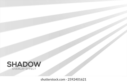 shadow, light, window, shade, blind, curtain, curtains, blinds, reflect, sun, sunlight, png, overlay, transparent, wall, effect, bg, background, vector, sunshine, shadows, isolated, backdrop, nature, 