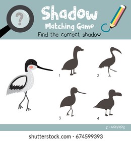 Shadow matching game of avocet bird animals for preschool kids activity worksheet colorful version. Vector Illustration.