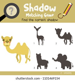 Shadow matching game of Bactrian Camel animals for preschool kids activity worksheet colorful version. Vector Illustration.