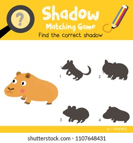 Shadow matching game of Capybara animals for preschool kids activity worksheet colorful version. Vector Illustration.