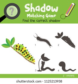 Shadow matching game of Caterpillar crawling on the branch animals for preschool kids activity worksheet colorful version. Vector Illustration.
