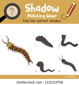 Shadow matching game of Cute Centipede animals for preschool kids activity worksheet colorful version. Vector Illustration.