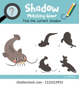 Shadow matching game of Funny Catfish animals for preschool kids activity worksheet colorful version. Vector Illustration.