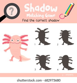 Shadow matching game of Standing axolotl mexican salamander animals for preschool kids activity worksheet colorful version. Vector Illustration.